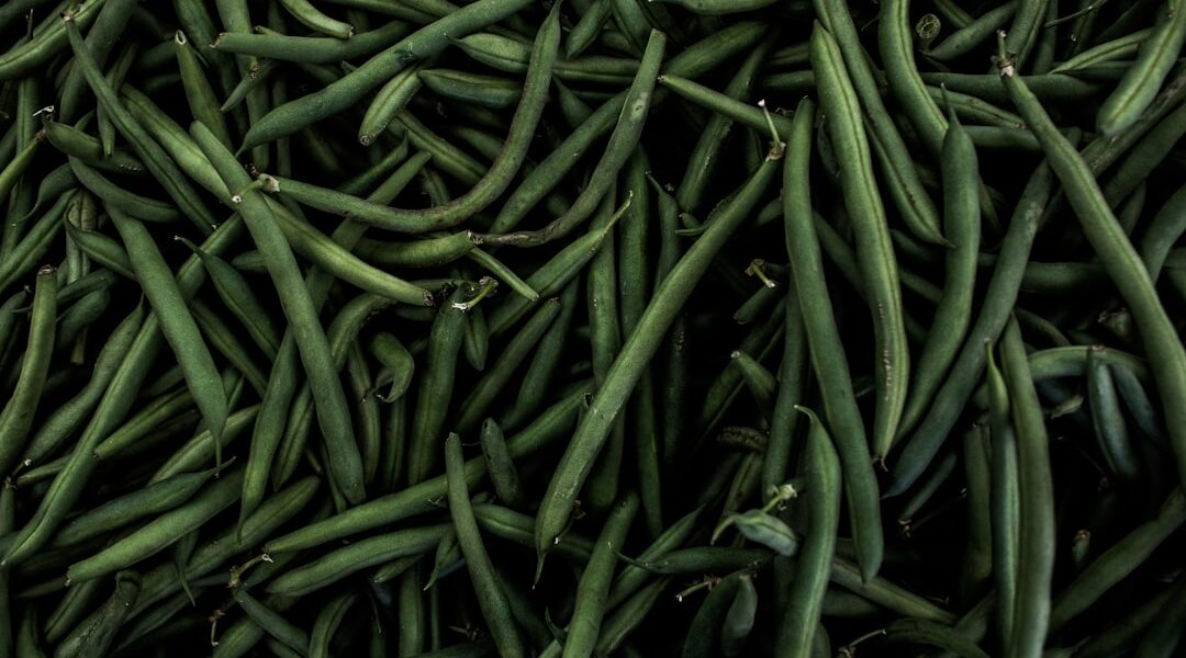 Photo Green beans