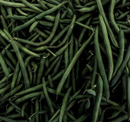 Photo Green beans