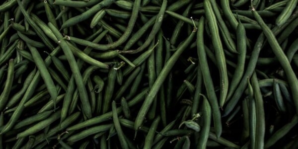 Photo Green beans