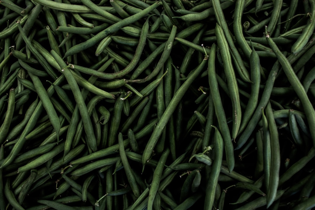 Photo Green beans